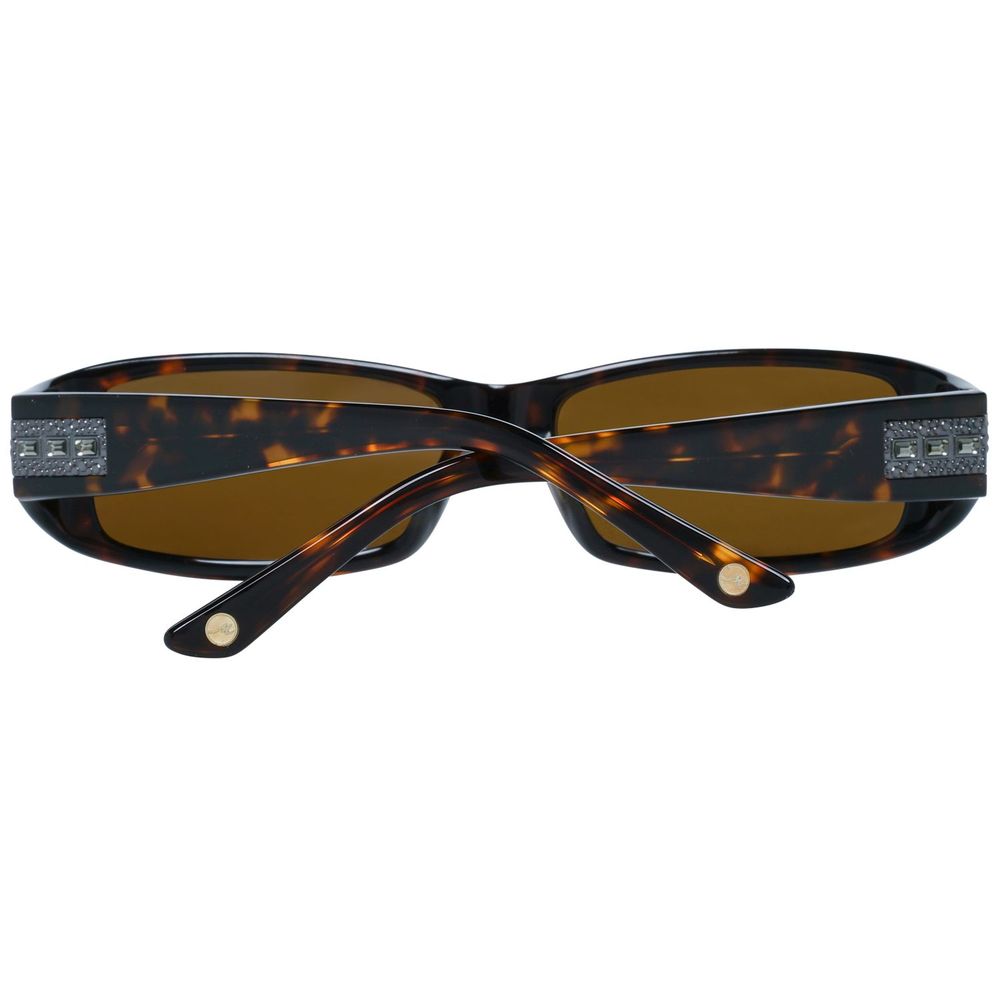 Brown Plastic Sunglasses